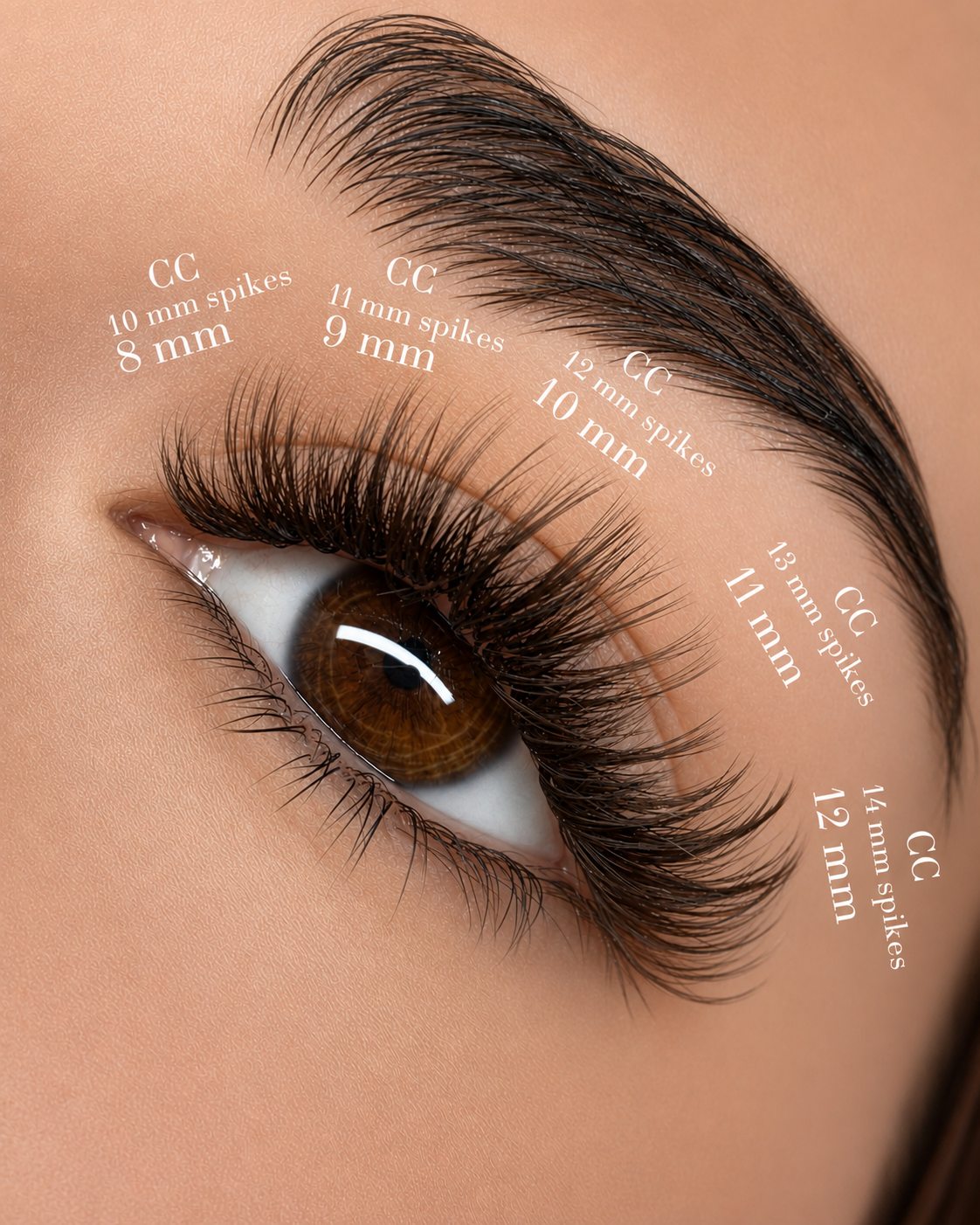EXTENSION VOLUME chocolate