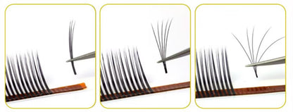 Extension Ciglia ANGEL
