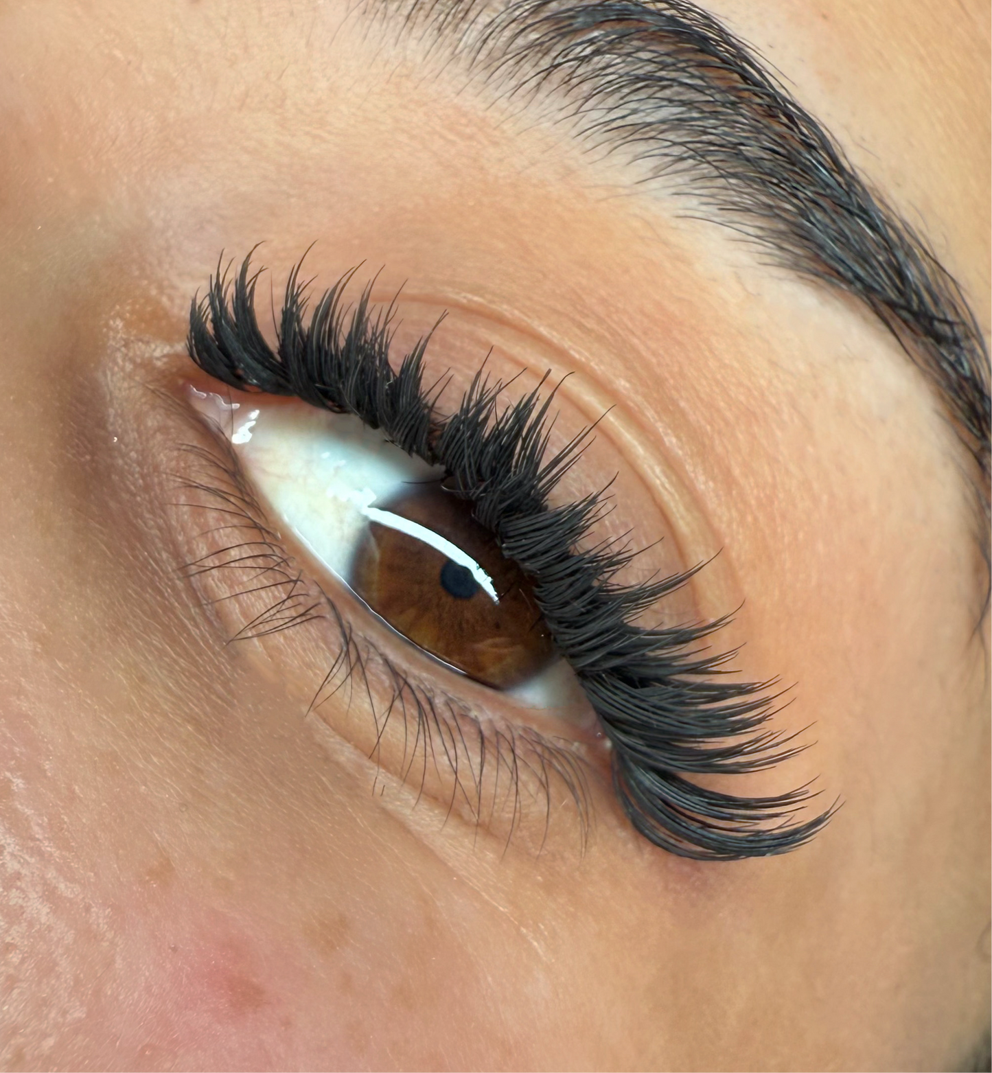 Extension Ciglia PLUME