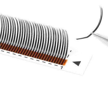 Extension Ciglia ANGEL