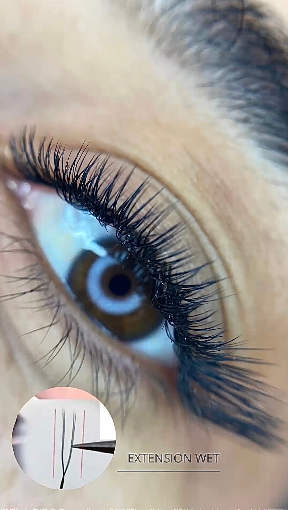 Extension Ciglia WET