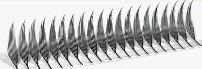 Extension Ciglia PLUME