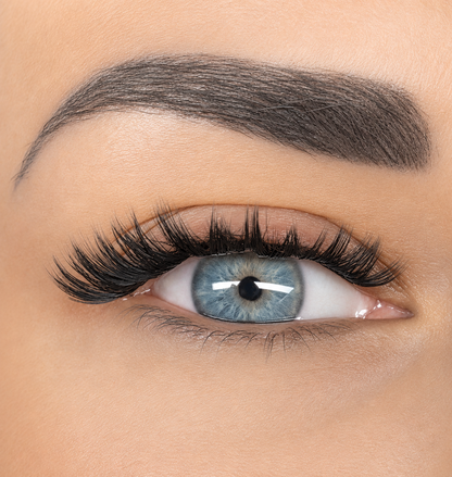 Lash on me FULL VOLUME