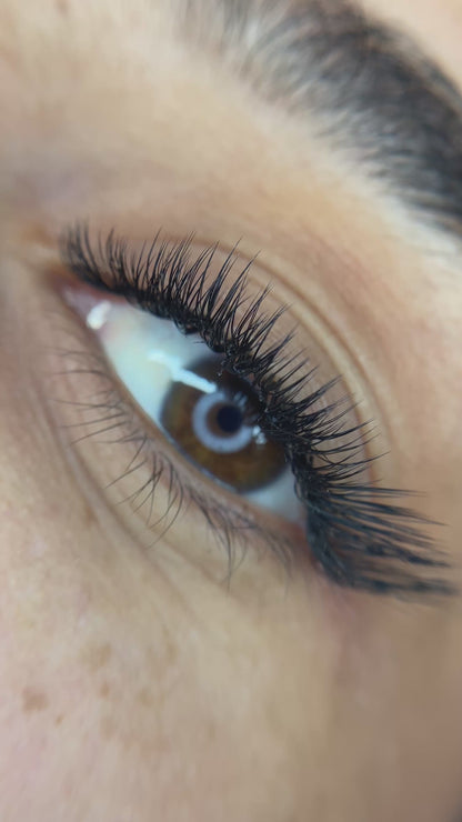 Extension Ciglia WET